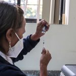 El certificado de vacunación contra la fiebre amarilla debe indicar que la vacuna fue recibida al menos 10 días antes del viaje.