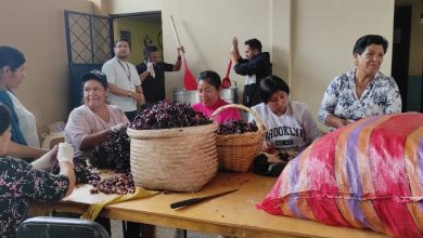 MAG da capacitación sobre la elaboración de vino de jamaica