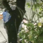 Captura de las imágenes compartidas por el ECU 911 del apoyo que le dieron a la persona afectada. /Captura video del ECU 911