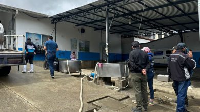 ARCSA decomisó casi 1.000 litros de leche en Guachapala, en Azuay
