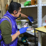 Hallan cucarachas en 2 locales en la zona de la Terminal Terrestre de Cuenca