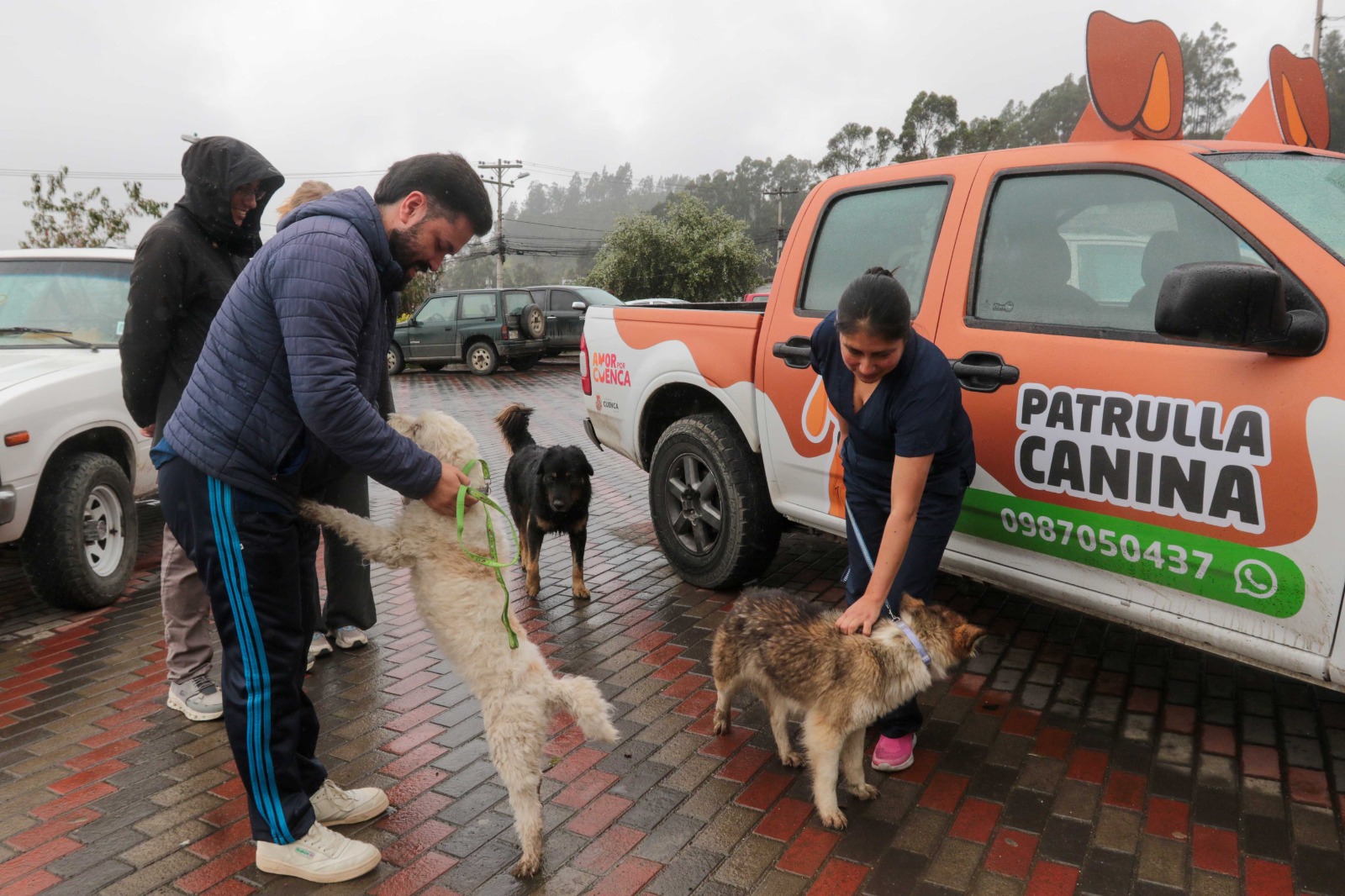 patrulla - canina