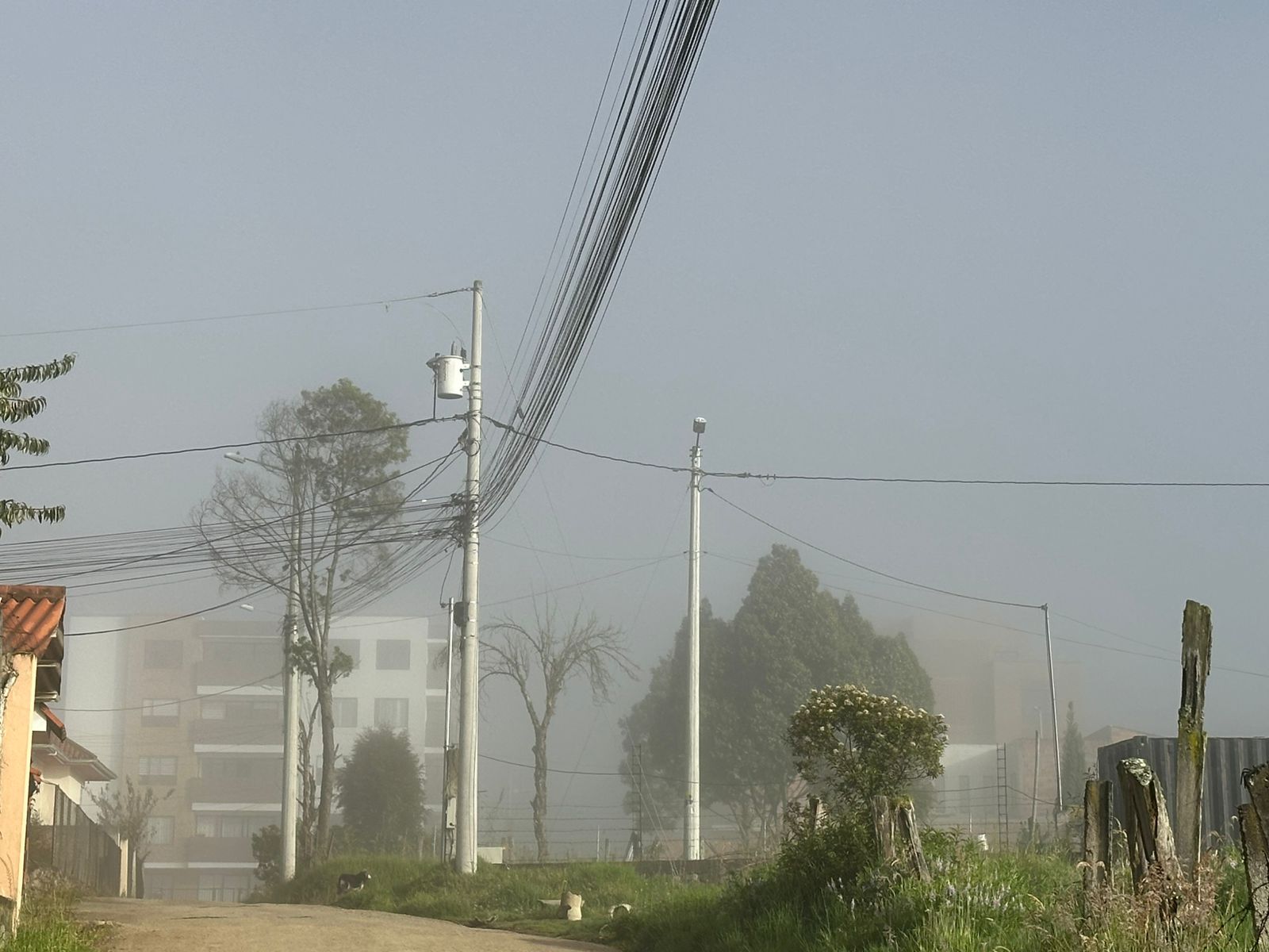 clima Cuenca
