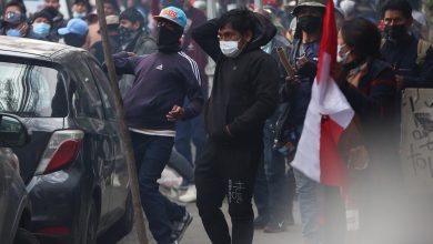 Afines a Evo Morales