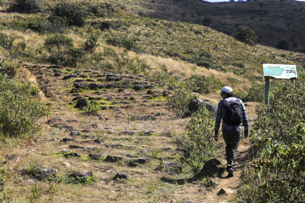 El Qhapaq Ñan de Paredones es uno de los tramos mejor conservados del Austro del país. / XCA