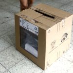 consulta popular diciembre