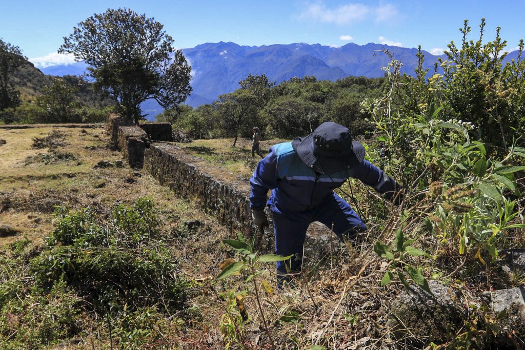 Desde hace dos semanas se ejecutan obras de limpia de los muros del área conocida como 'el castillo'. / XCA