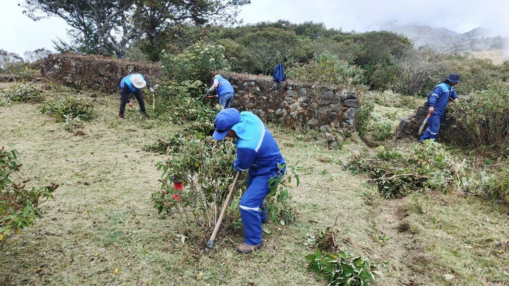La minga se llevó a cabo el fin de semana en el sitio arqueológico de Paredones. /Cortesía