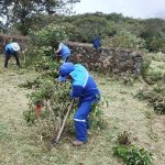 La minga se llevó a cabo el fin de semana en el sitio arqueológico de Paredones. /Cortesía