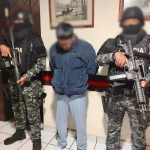 los lobos cuenca