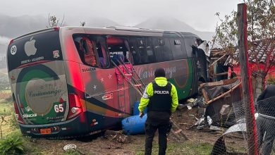 Bus interprovincial