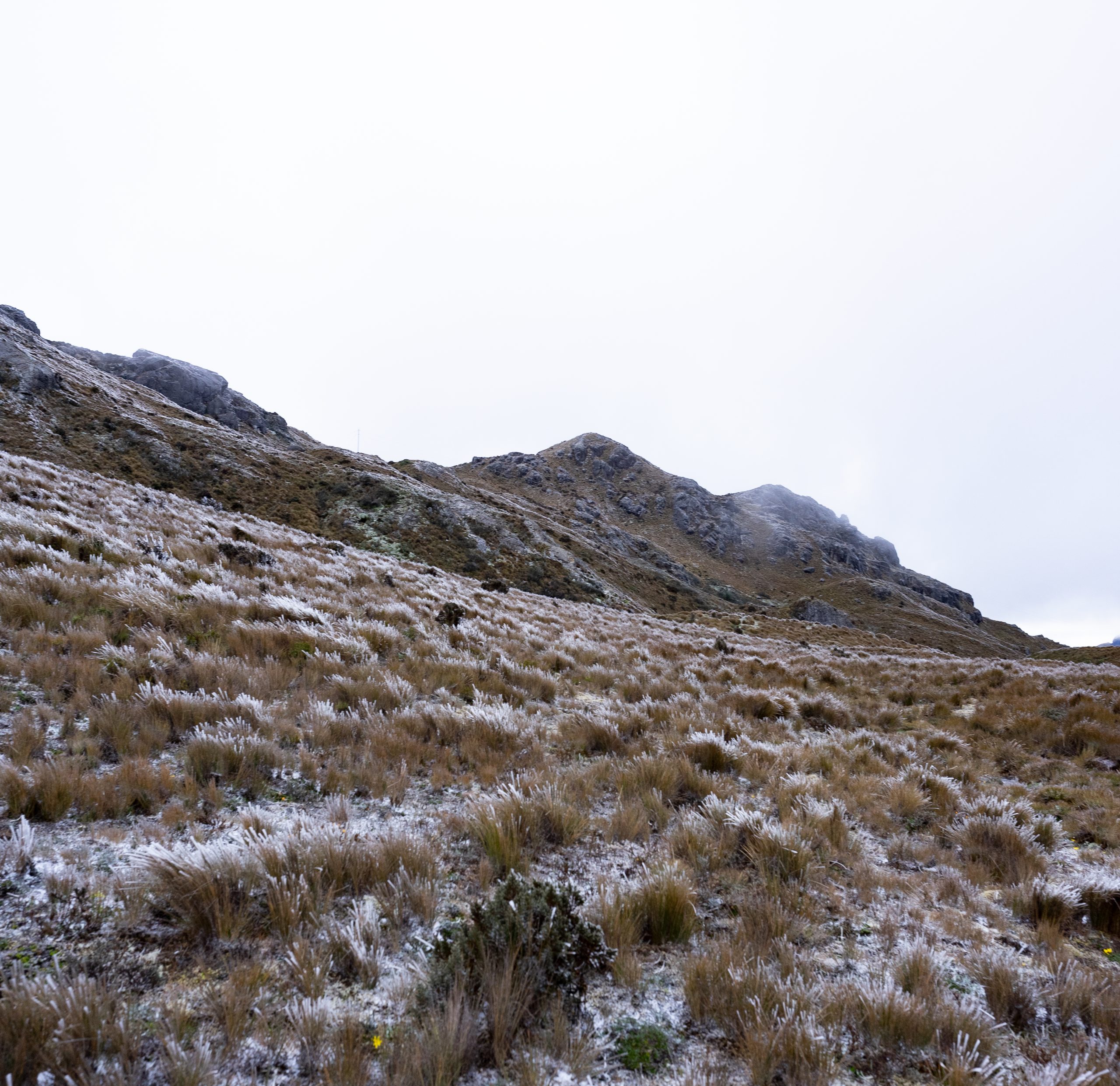 temperaturas cuenca