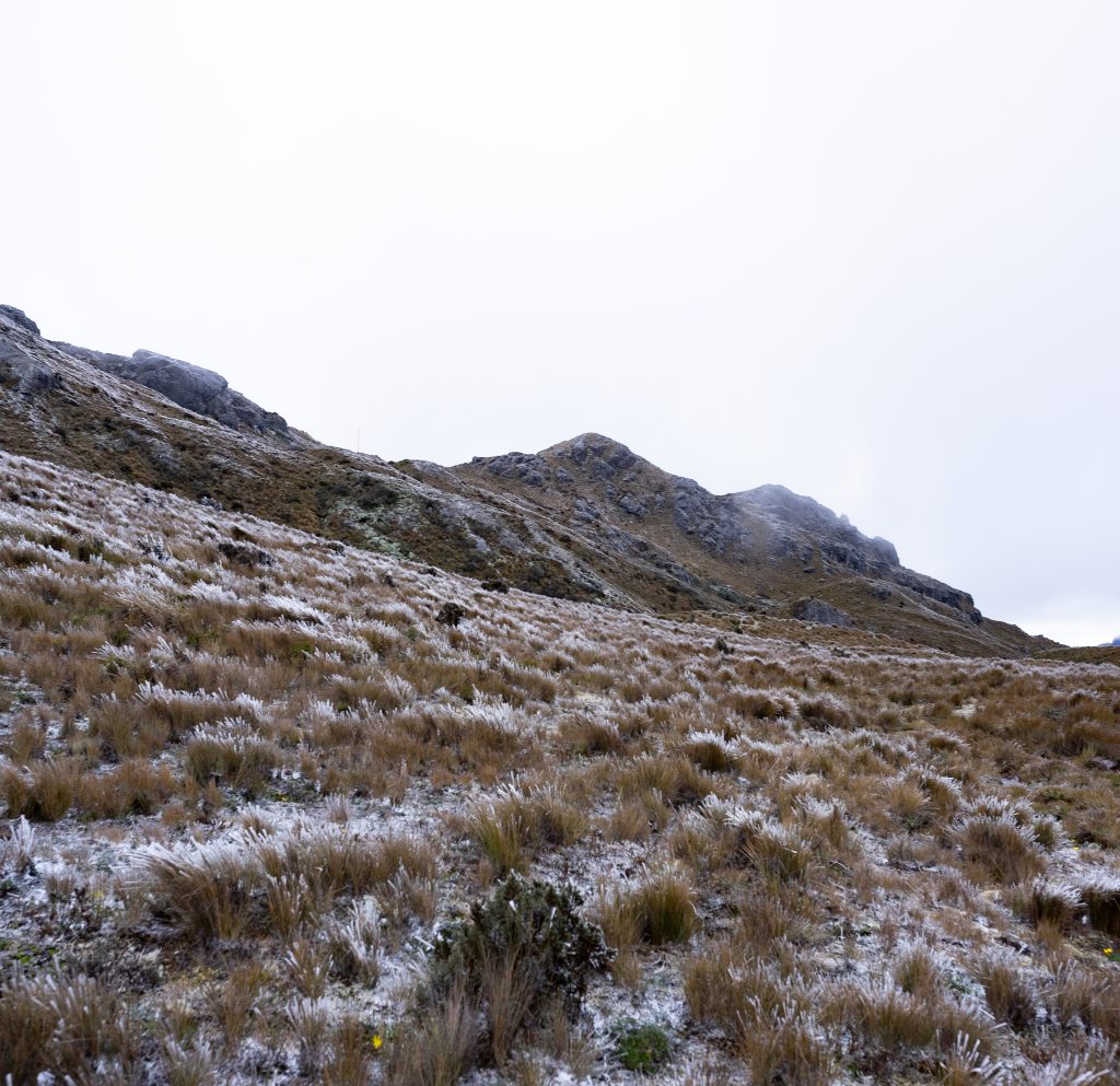 Cajas nieve