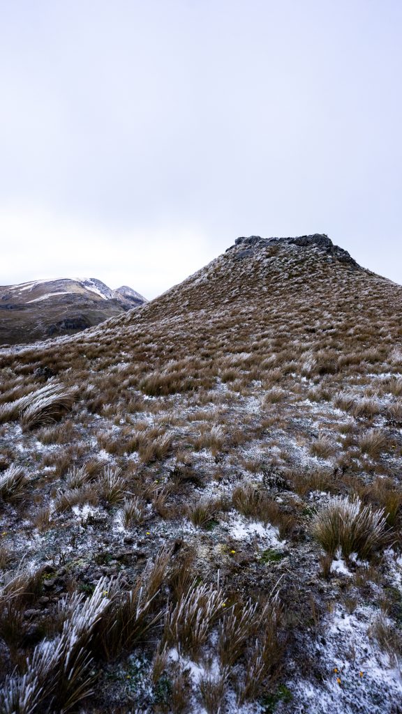 Cajas nieve