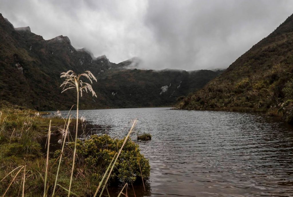 La laguna Huarmi Maylas en el Bosque Protector Collay.