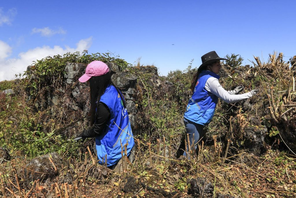 El sitio arqueológico de Paredones es uno de los más ricos en historia de Cuenca. /XCA