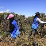 El sitio arqueológico de Paredones es uno de los más ricos en historia de Cuenca. /XCA