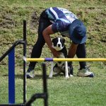 Agility Cuenca