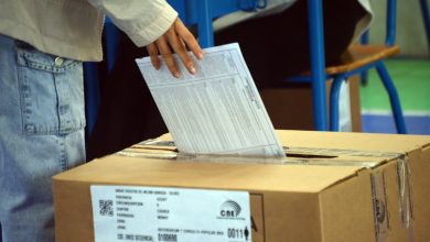 consulta popular diciembre