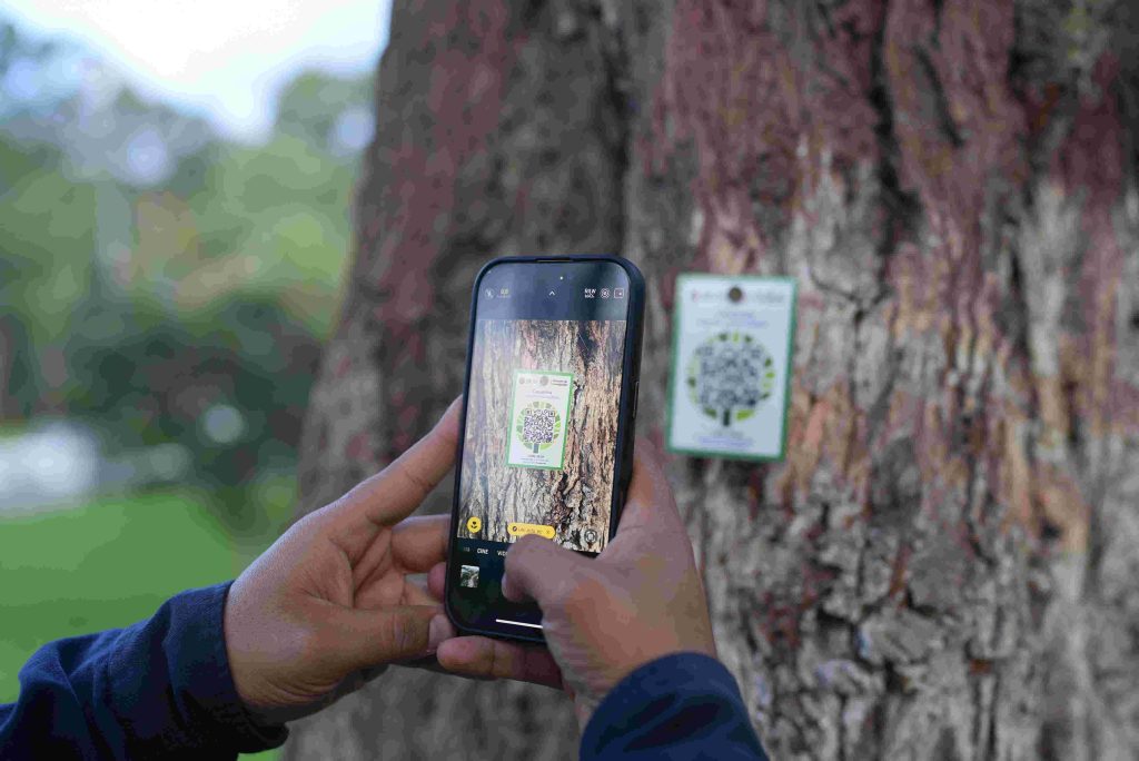 La Universidad Nacional de Loja (UNL) lanzó Árbol Ec, la Plataforma Nacional de Manejo de los Árboles en las Ciudades del Ecuador.