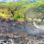 Incendios forestales aumentan en Azuay por transición a temporada seca