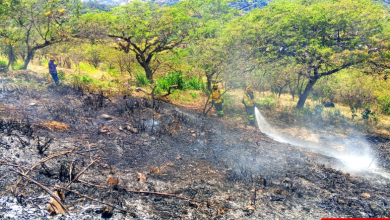Incendios forestales aumentan en Azuay por transición a temporada seca