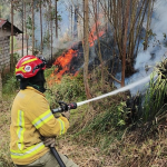 El personal del Cuerpo de Bomberos controló las llamas en el sector Santa Marianita, de la parroquia Octavio Cordero.