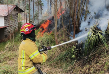 El personal del Cuerpo de Bomberos controló las llamas en el sector Santa Marianita, de la parroquia Octavio Cordero.