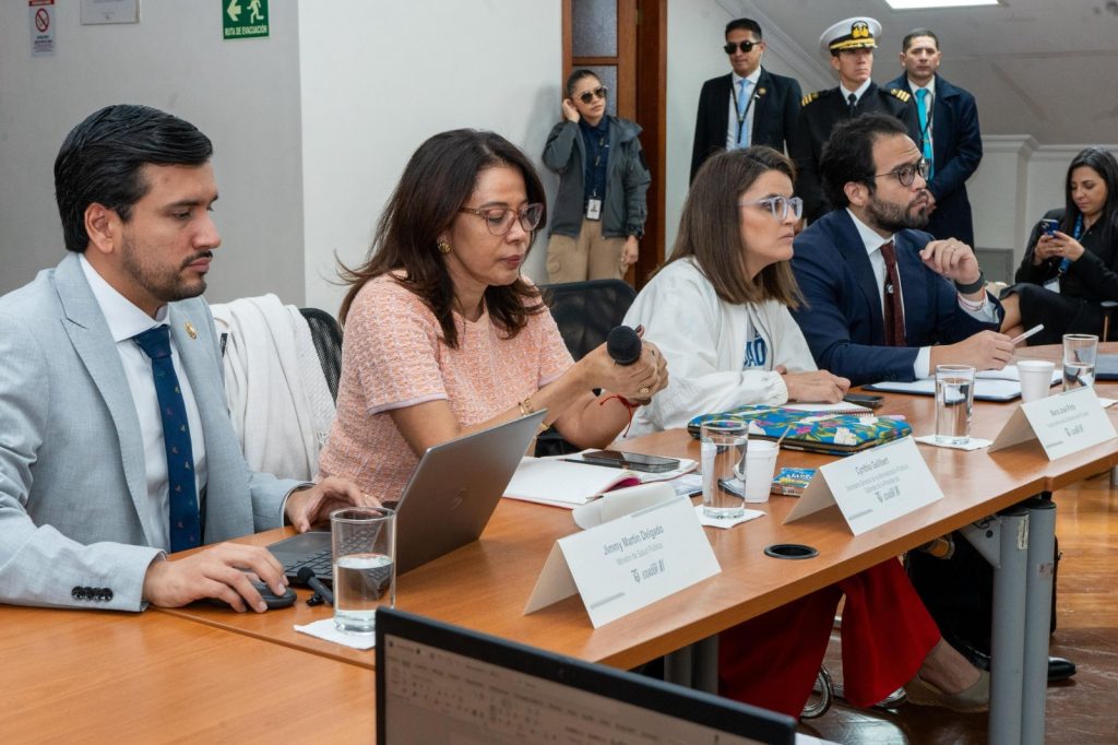 comité de salud pública