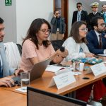 comité de salud pública