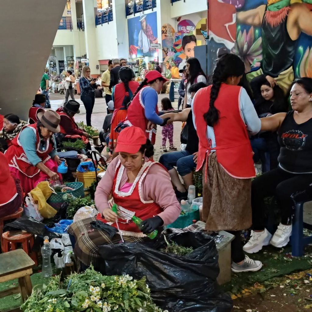 La Flacso publicó una investigación sobre las limpias andinas en Azuay.