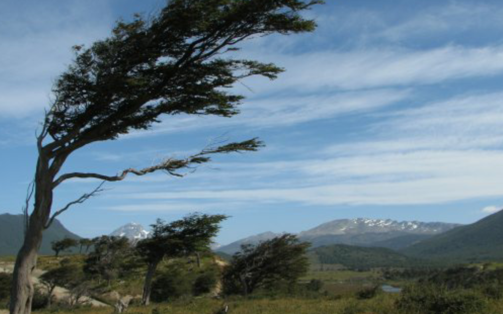 Precaución ante fuertes vientos en Azuay. El Instituto Nacional de Meteorología e Hidrología (Inamhi) dio una alerta.