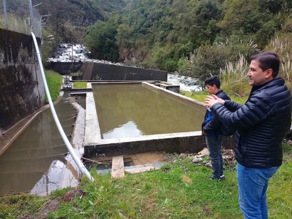 Planta de Gualaceo