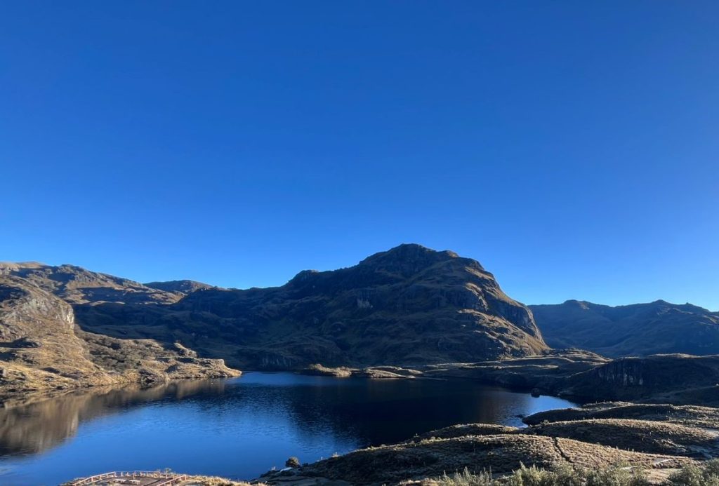 feriado 10 de agosto