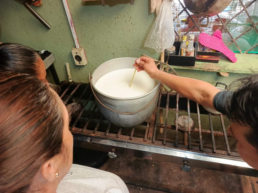 El MAG capacita sobre elaboración de yogurt natural en Pucará