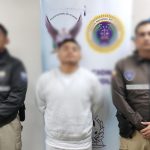 los lobos estados unidos