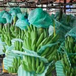 arancel Estados Unidos