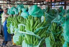 arancel Estados Unidos