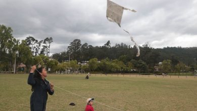 Noelia Rodríguez hace volar una cometa en el parque El Paraíso.