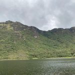 Restauración - Cajas