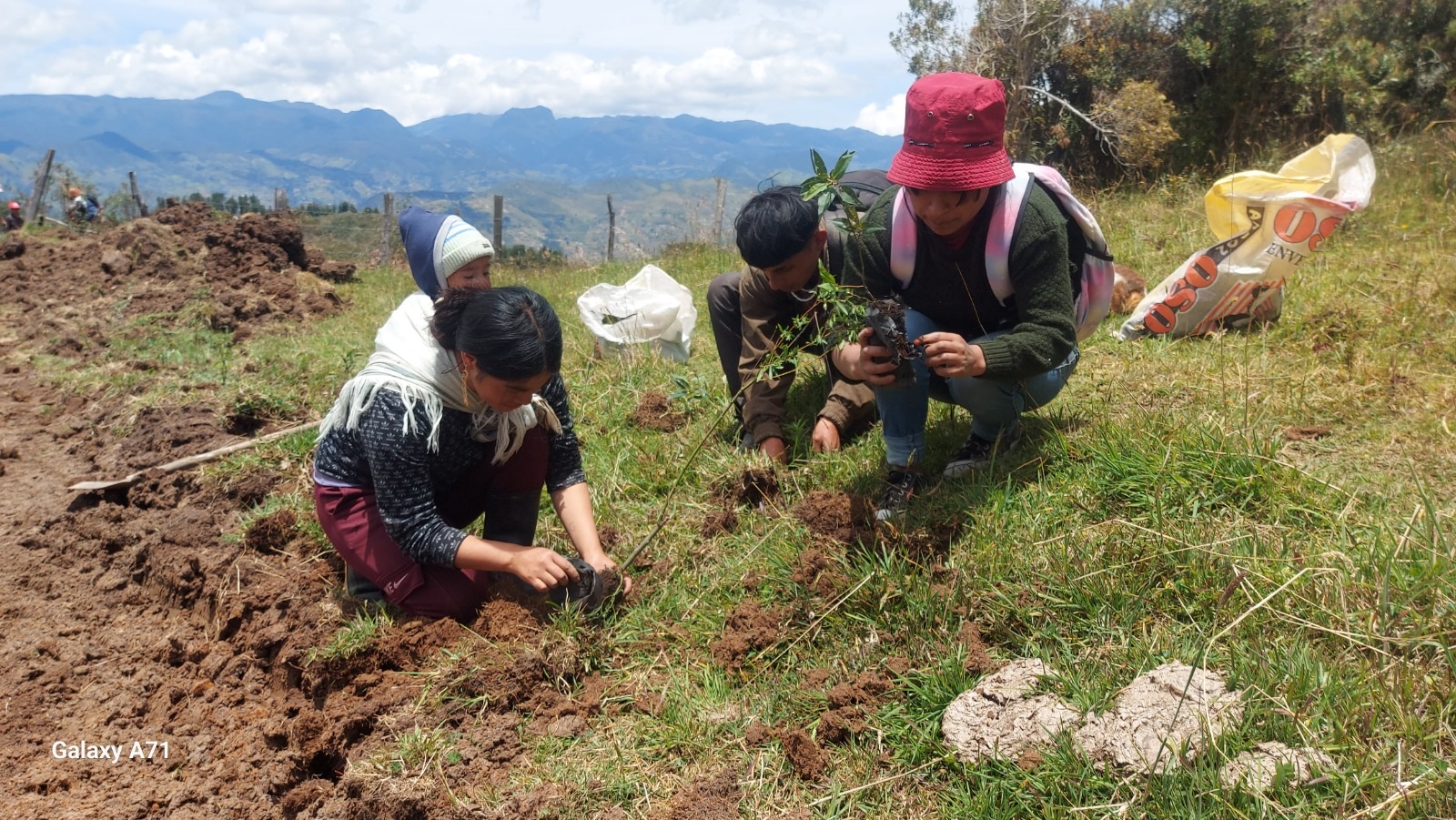 Azuay - plantas
