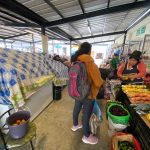 plataformas - Valdiviezo