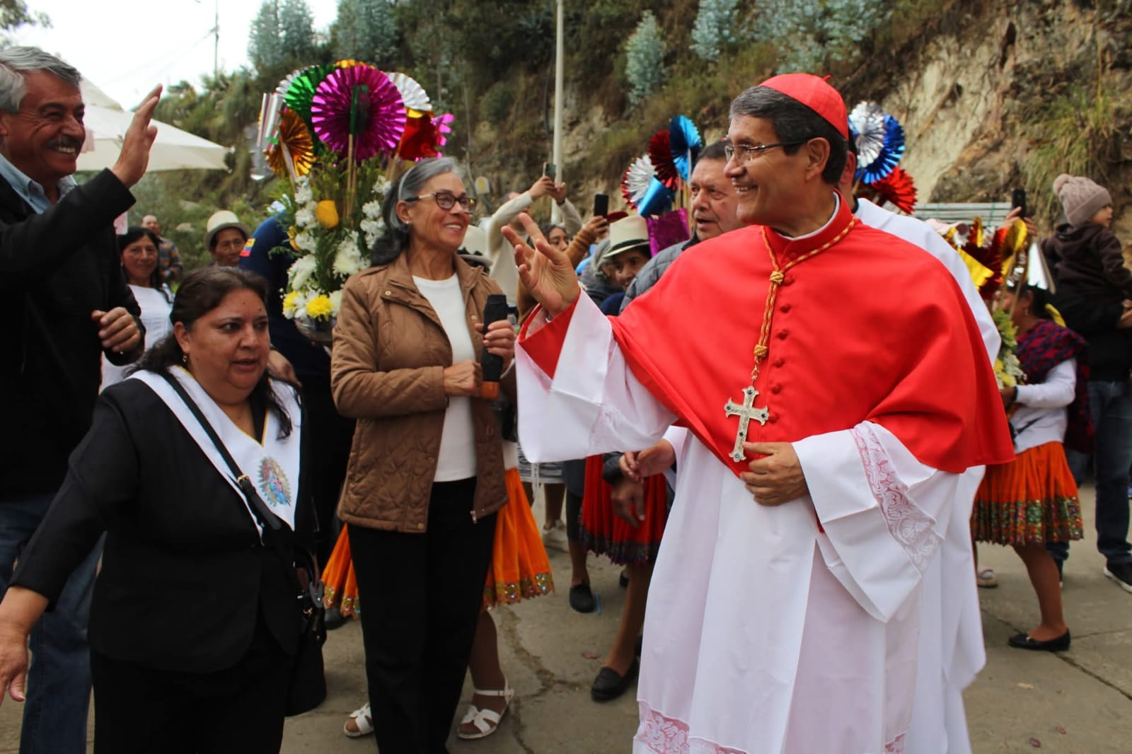 cardenal - ordenación