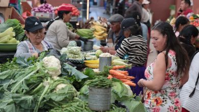 Cuenca sigue con la canasta familiar más cara del Ecuador: 860 dólares