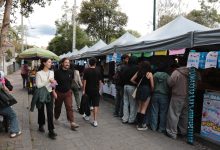 feriado noviembre