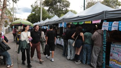 feriado noviembre