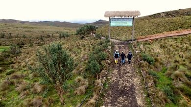 Empresa minera Dundee Precious Metals responde a retiro de licencia ambiental.