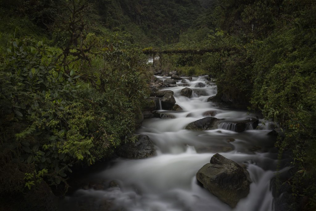medioambiente en Cuenca