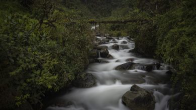 medioambiente en Cuenca