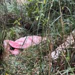 Identifican a cadáver hallado con un panfleto en Biblián, en Cañar. No tiene antecedentes penales.